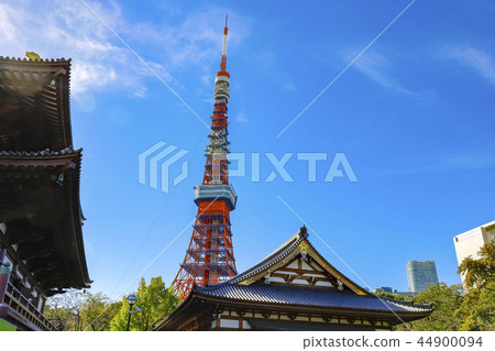 [東京]從Jojoji寺的地面看到的東京塔 44900094