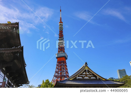 [東京]從Jojoji寺的地面看到的東京塔 44900095