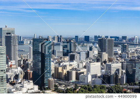 [東京都港區]東京塔天文台的城市風景 44900099