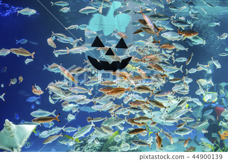 [Tokyo] Ikebukuro / Sunshine City Aquarium / Underwater Performance 44900139