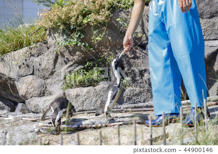 [東京]池袋/陽光城水族館/企鵝餵食時間 44900146