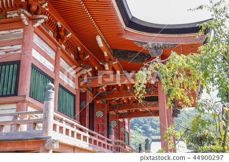 [Yamanashi Prefecture] Important Cultural Property, Kai Zenkoji Temple, Fixed amount mountain 44900297