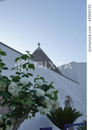 意大利阿爾貝羅貝洛景觀 44900585