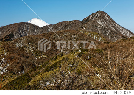 從山路到箱根和Meijingatake在雪中看到的金山山和富士山 44901039