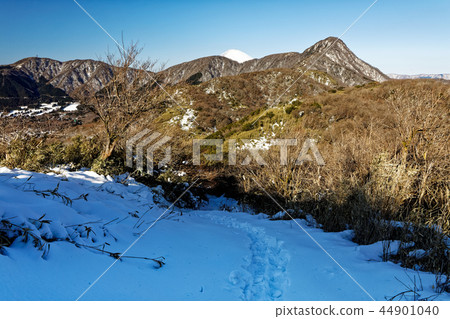 從山路到箱根和Meijingatake在雪中看到的金山山和富士山 44901040