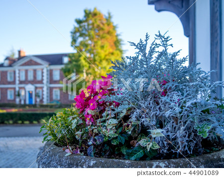 [Izu City, Shizuoka Prefecture] Theme park scenery [Shuzenji Rainbow Village, English Village] 44901089