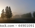Morning glow 44901091