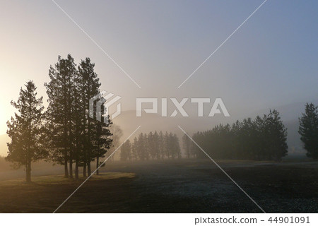 Morning glow 44901091