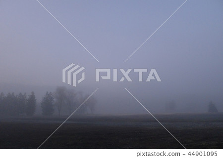 Morning morning 44901095