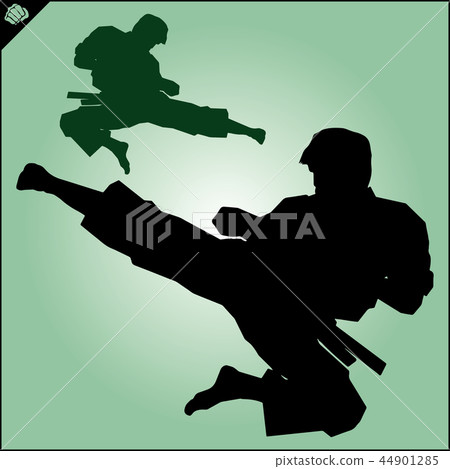 Martial arts. Karate fighter silhouette scene. 44901285
