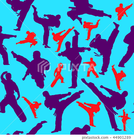 Martial arts. Karate fighter silhouette scene. 44901289
