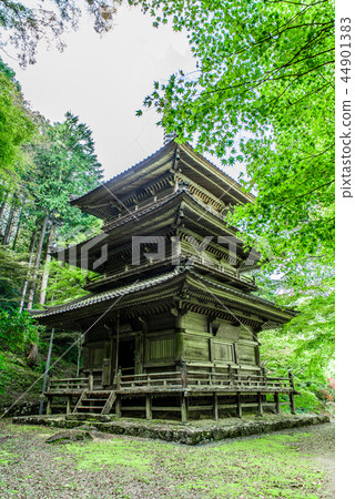 Takagenji Hyogo Prefecture Tamba City Takagenji Hyogo Prefecture Tamba City 44901383