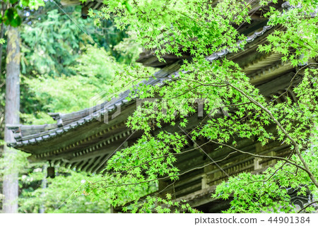 Takagenji Hyogo Prefecture Tamba City 44901384