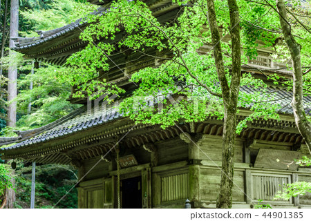 Takagenji Hyogo Prefecture Tamba City 44901385