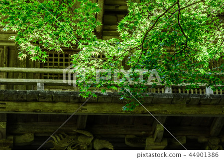 Takagenji Hyogo Prefecture Tamba City 44901386