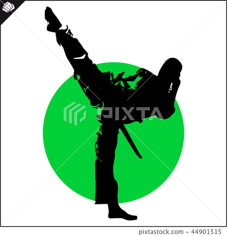 Martial arts. Karate fighter silhouette scene.  44901515