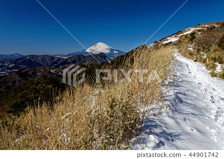從箱根和Meijingatake Pass雪線看到的富士山 44901742
