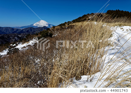 從箱根和Meijingatake Pass雪線看到的富士山 44901743