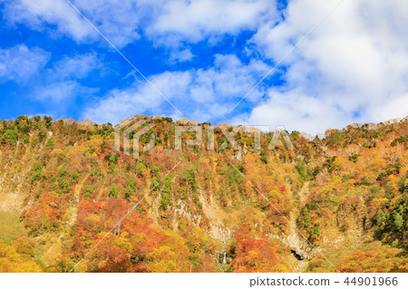 Shona Falls Fall leaves Shona Falls Fall leaves 44901966