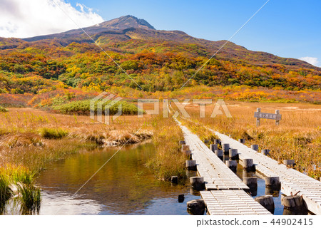 Mount Toriumi Ryugahara Wetland Mount Toriumi Ryugahara Wetland 44902415