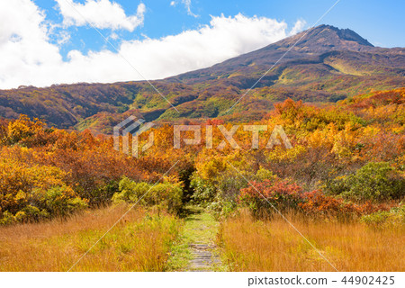 Mount Toriumi Ryugahara Wetland 44902425