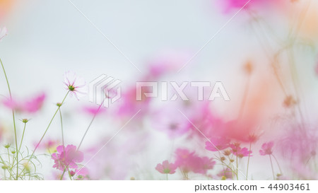 宇宙 宇宙 44903461