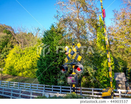 [Shizuoka Prefecture Izu City] Railway crossing of the theme park [Shuzenji Niji no Sato · Romney Railway] 44903537