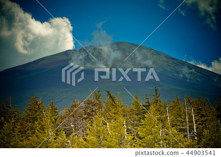 Mt. Fuji in summer, Japan Mt. Fuji in summer, Japan 44903541