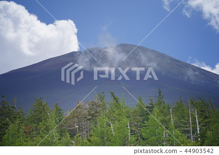 Mt. Fuji in summer, Japan 44903542