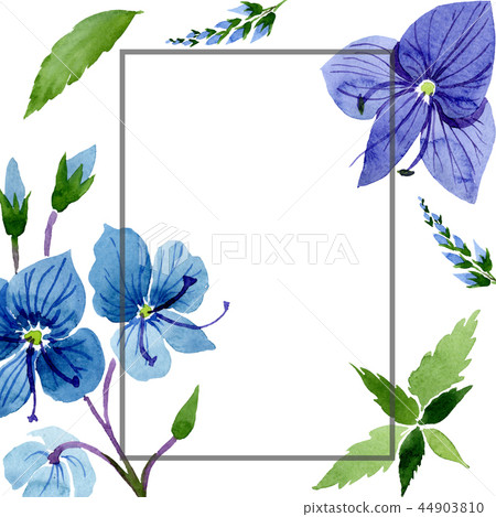 Watercolor blue Veronica flower. Floral botanical flower. Frame border ornament square. Watercolor blue Veronica flower. Floral botanical flower. Frame border ornament square. 44903810