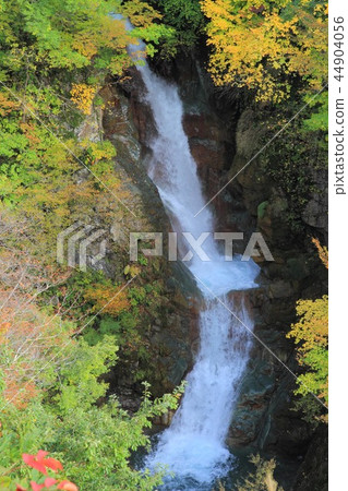 Fall in the autumn mountain valley 44904056