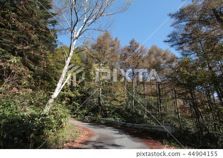 Ohira Highway Iida City, Nagano Prefecture Ohira Highway Iida City, Nagano Prefecture 44904155