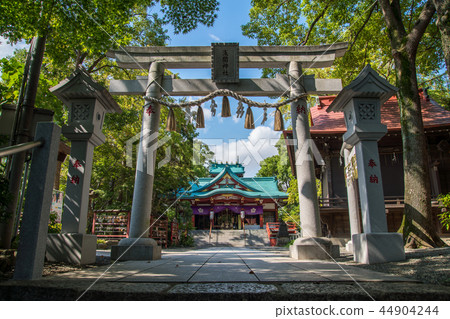 Tamagawa Asama Shrine Approach to Torii 44904244
