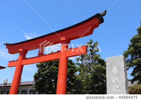 東伏見稻荷神社的鳥居 44904475