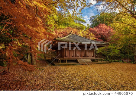 Autumn leaves of Fuji Temple 44905870