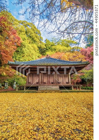 富士寺秋葉 44905871