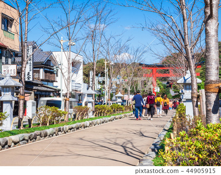 Kamakura Wakamiya Otoji Jogaku Kamakura Wakamiya Otoji Jogaku 44905915