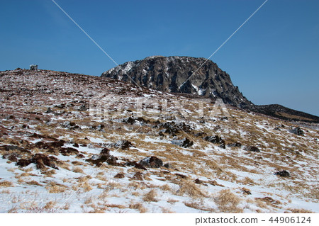Winter scenery of Mt. Halla, 44906124