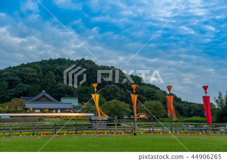 Nara Asukamura Corridor of Asuka light Cluster amaryllis in front of Tachibana-ji Temple Nara Asukamura Corridor of Asuka light Cluster amaryllis in front of Tachibana-ji Temple 44906265