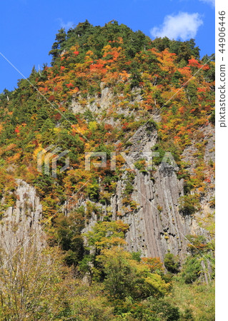 Akiyama-go Fall Fuiwa 44906446