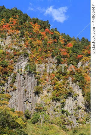 Akiyama-go Fall Fuiwa 44906447