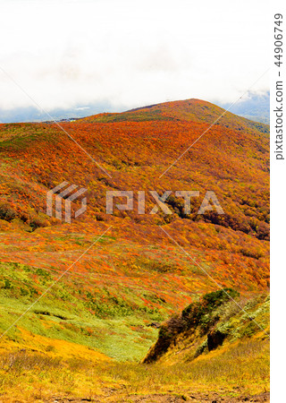 Mt. Kurikoma秋葉 Mt. Kurikoma秋葉 44906749