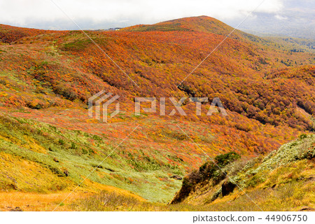 Mt. Kurikoma秋葉 Mt. Kurikoma秋葉 44906750