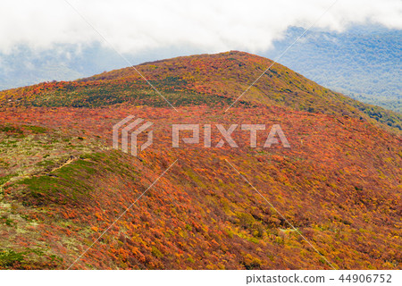 Mt. Kurikoma秋葉 Mt. Kurikoma秋葉 44906752