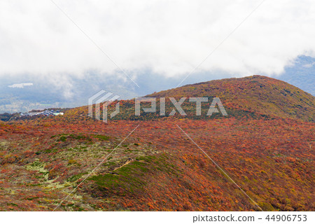 Mt. Kurikoma秋葉 Mt. Kurikoma秋葉 44906753