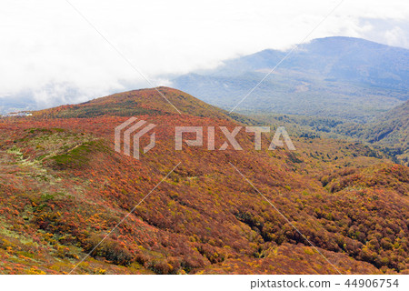 Mt. Kurikoma秋葉 44906754