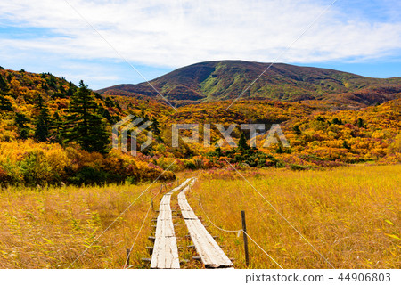 Mt. Kurikoma秋葉 44906803