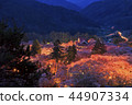 Cherry blossoms at Takati Castle Ruins Park at night 44907334