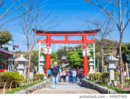 Kamakura Tsuruoka Hachimangu Shrine Three Torii and terraces Kamakura Tsuruoka Hachimangu Shrine Three Torii and terraces 44907469