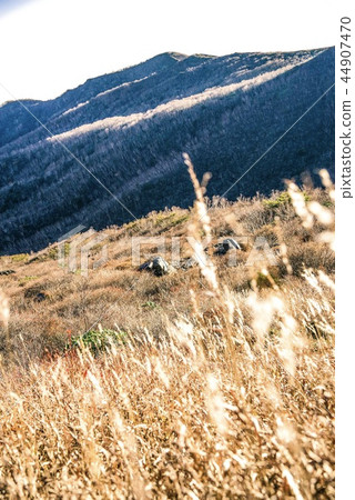 Autumn scenery of Chausudake (Tochigi · October) Autumn scenery of Chausudake (Tochigi · October) 44907470